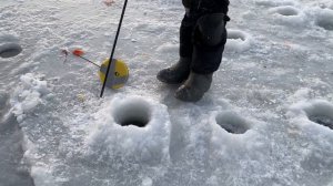 Небольшой онлайн с водоема