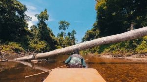 NATIONAL PARK PAHANG MALAYSIA | TAMAN NEGARA PAHANG