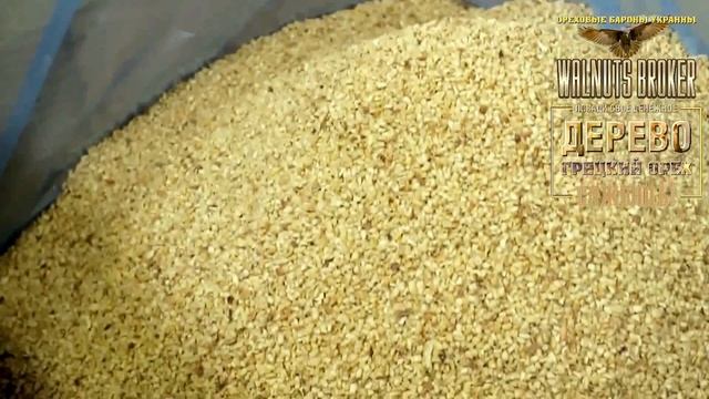 Переработка грецкого ореха Китай Америка Украина от Walnuts Broker