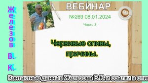 Железов Валерий.  Вебинар 269.  ч.3. Червивые сливы, причины.