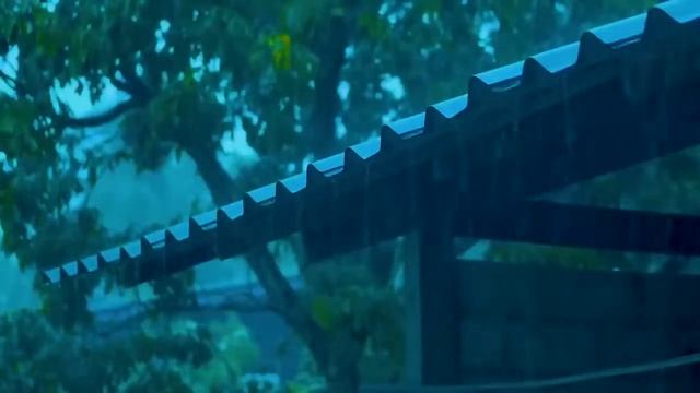 Звуки дождя и грома для сна - Прощай бессонница с Шум Дождя по Крыше старой в туманном лесу смотреть онлайн