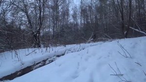 "Дорожный просвет#21" Toyota Land Cruiser 78 и 80. Снежный тест.