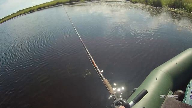 Змееголов Приморья 2017 (The Best) ч.1 смотреть онлайн