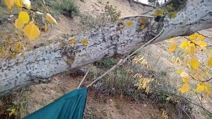 Костер рефлектор и палатка из тента