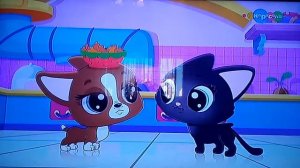 Мультик маленький зоо магазин тайная жизнь питомцев