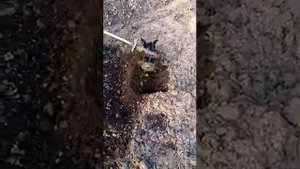 Насадка культиватор на бензокосу , доработанная .