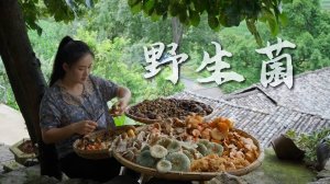 Yunnan people are currently obsessed with one thing: mushroom foraging in the mountains…
