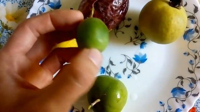 Дегустация плодов пассифлор 2018 смотреть онлайн