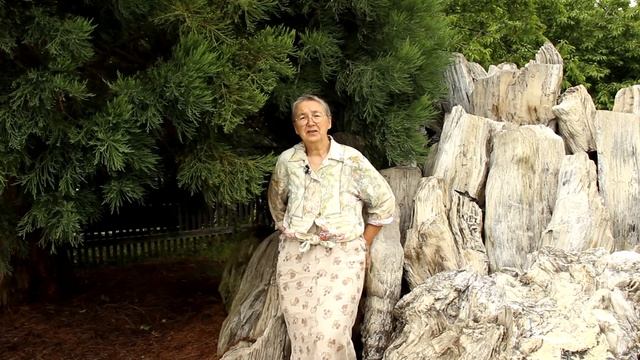 Открываем Америку смотреть онлайн