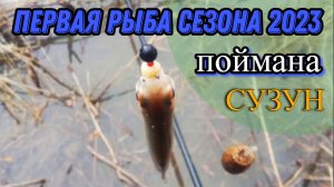 Открытие Летнего сезона 2023г. Рыбалка (Сузун) Первая рыба поймана.