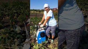 Белорусская лебедка ЛС-100А для самостоятельной обработки огорода.