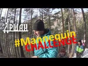 Аршан #Mannequinchallenge