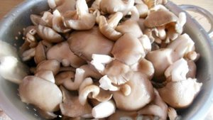 Рецепт маринованных вешенок в домашних условиях