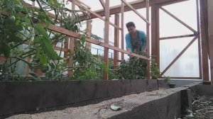 8 октября 2022г. УБОРКА В ЛЕТНЕМ ДОМЕ