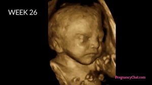 9 Months In The Womb A Remarkable Look At Fetal Development Through Ultrasound By PregnancyChat.com