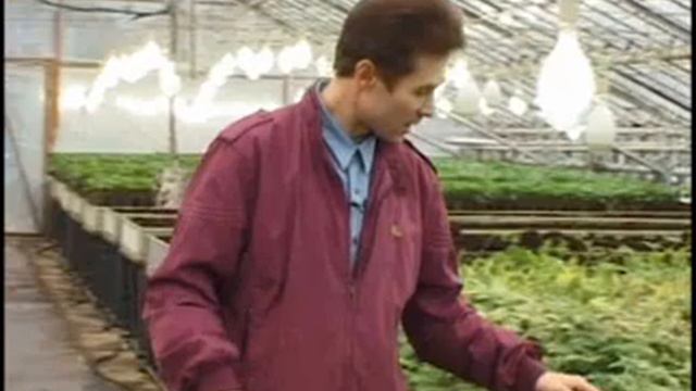 Технология изобилия - Признаки истощения почвы
