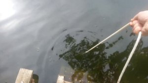 Вот это находка! Поймал на поисковый магнит! Супер!!! Magnet Fishing!