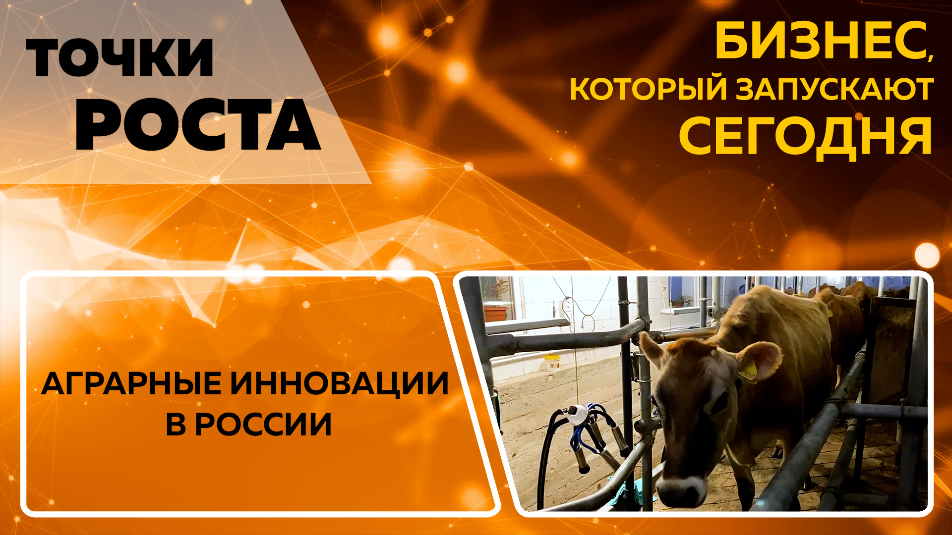Точки роста. Аграрные инновации в России
