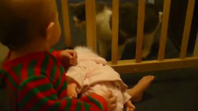 Serenity telling the Cat "GIT!" смотреть онлайн