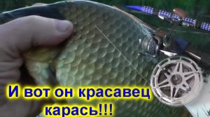 Поплавок Карась Июль