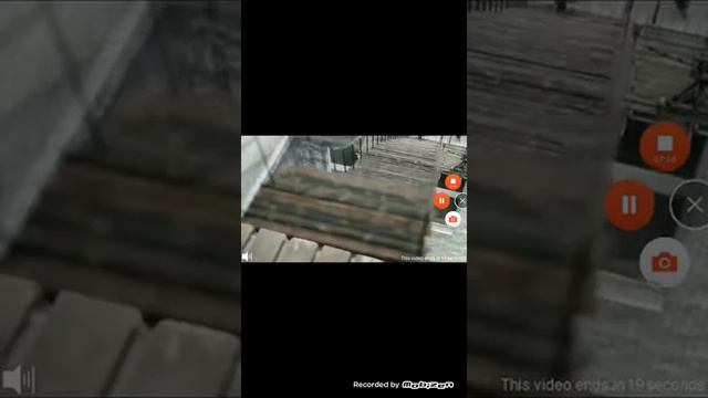 Режим фрукты