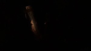 B48b20 звук дребезжания калитки вестгейта схожий со звуком появляющимся при люфте крыльчатки турбин