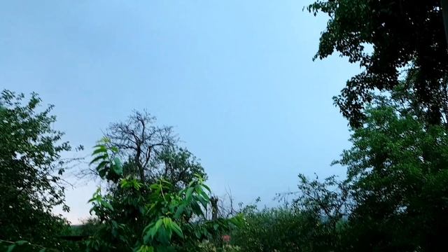 АЛЬПИЙСКАЯ ГОРКА своими руками на крыше погреба и варим огурцы [салат Неженский]