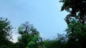 АЛЬПИЙСКАЯ ГОРКА своими руками на крыше погреба и варим огурцы [салат Неженский]