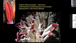 7 класс. Пищеварение у животных, часть 2
