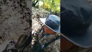 Барабаш-Левада
