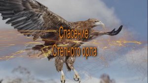 Поймал Орла на воблер. Операция спасения орла.