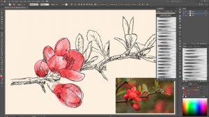 Watercolor Drawing with Vector Brushes - How to draw a Branch with Flowers in Adobe Illustrator