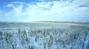 Удачная Охота на зайца русака с мр 155