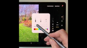 Простая программа для садовой визуализации на планшете. Продолжение завтра.