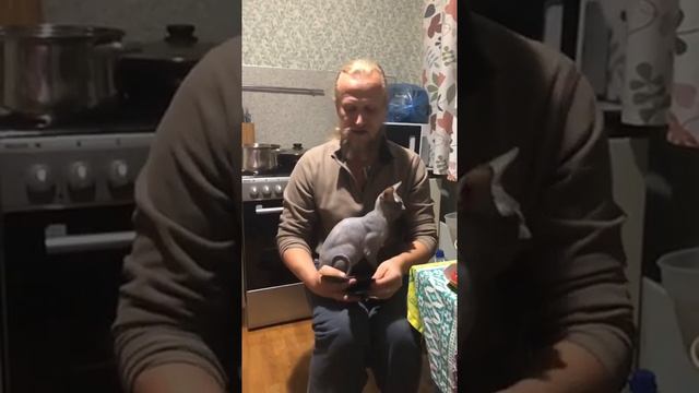 ДИВ: Благодарность за шевроны смотреть онлайн