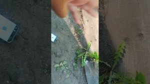 Как правильно пользоваться телефоном