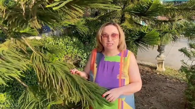 Таиланд. Паттайя. За что русские так любят Таиланд? смотреть онлайн