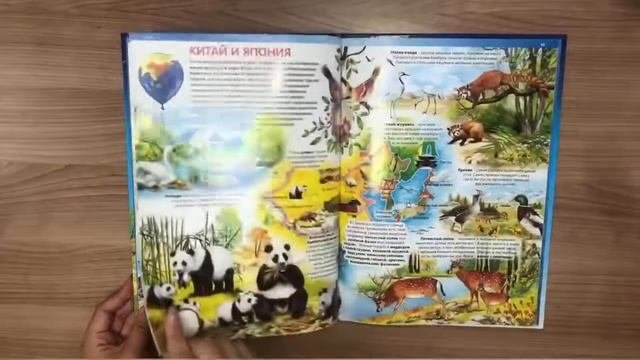 Детская энциклопедия животных