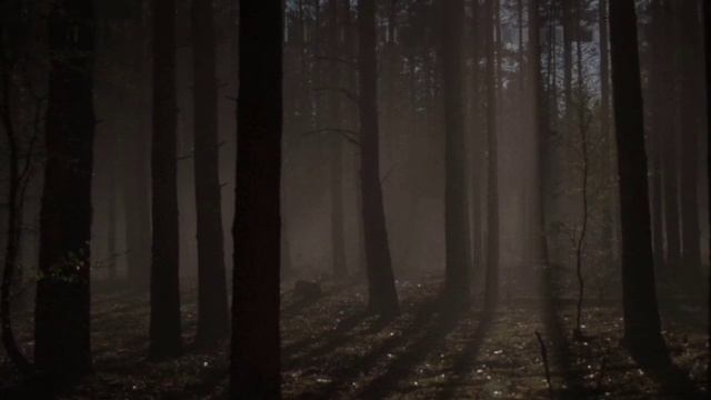 Этот лес не отпустит тебя! Страшная история / страшный сон смотреть онлайн