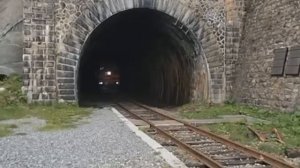 Использование современных технологий, которые мы украли у животных