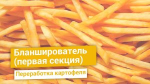 Бланширователь шнекового типа для производства картофеля фри