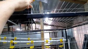 Худший забой уток. Бройлеры в новом птичнике ? Деревенские сотки.