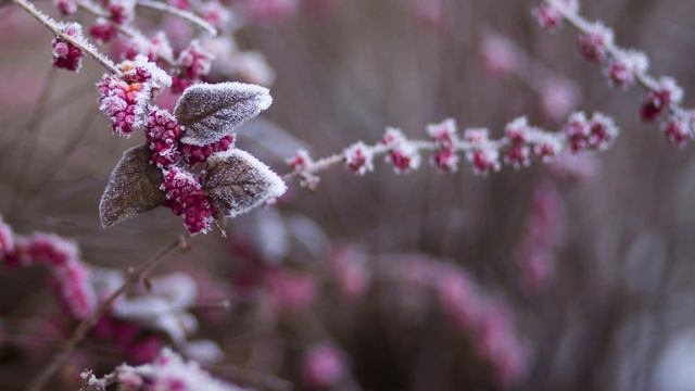 Апостол дня. 16 декабря 2023 года смотреть онлайн