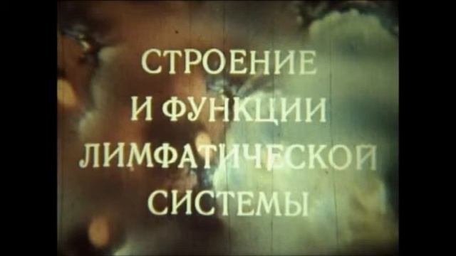 лимфатической системе человека часть 3 смотреть онлайн