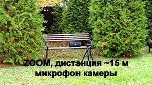 Сабвуфер JBL BassPro go