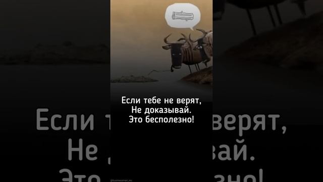 если тебе не верят, не доказывай. это бесполезно!