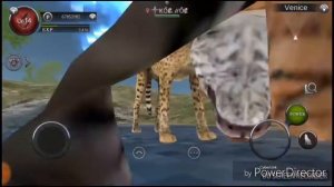 ¦|Wild animals online¦| mod Fly