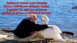 Доброта спасет мир!