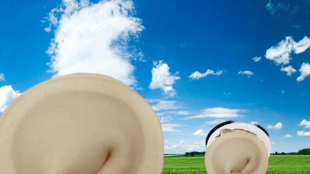 Шлёпа VS Пельмень смотреть онлайн