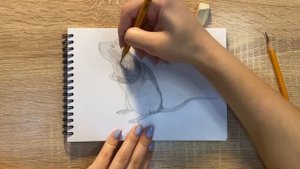 Как нарисовать крысу карандашом | Рисунок для начинающих поэтапно